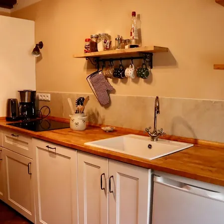 Hlucov Lesni בית נופש *