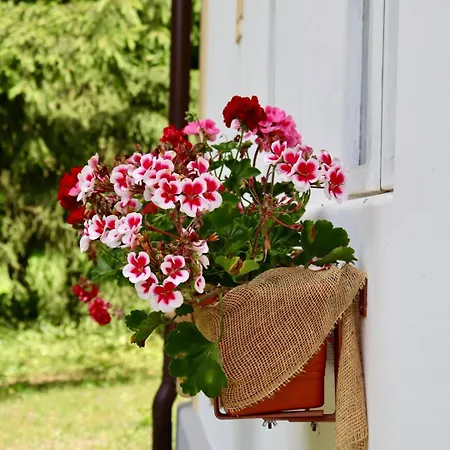 בית נופש Hlucov Lesni *