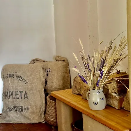 בית נופש Hlucov Lesni Kokorin