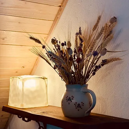 Hlucov Lesni בית נופש