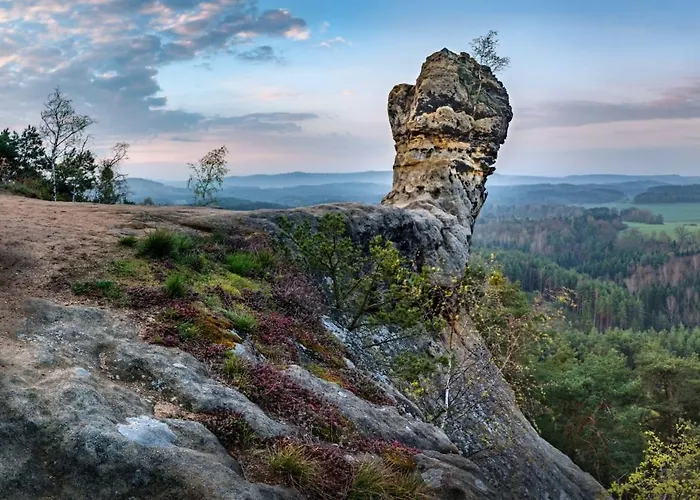 Hlucov Lesni Kokorin